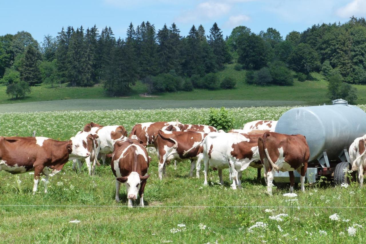 La Grange De Haute-Joux Les Fourgs Exterior foto